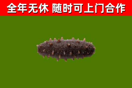淮北市烟酒回收干海参.jpg